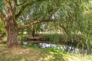 Photo 29- click for photo gallery